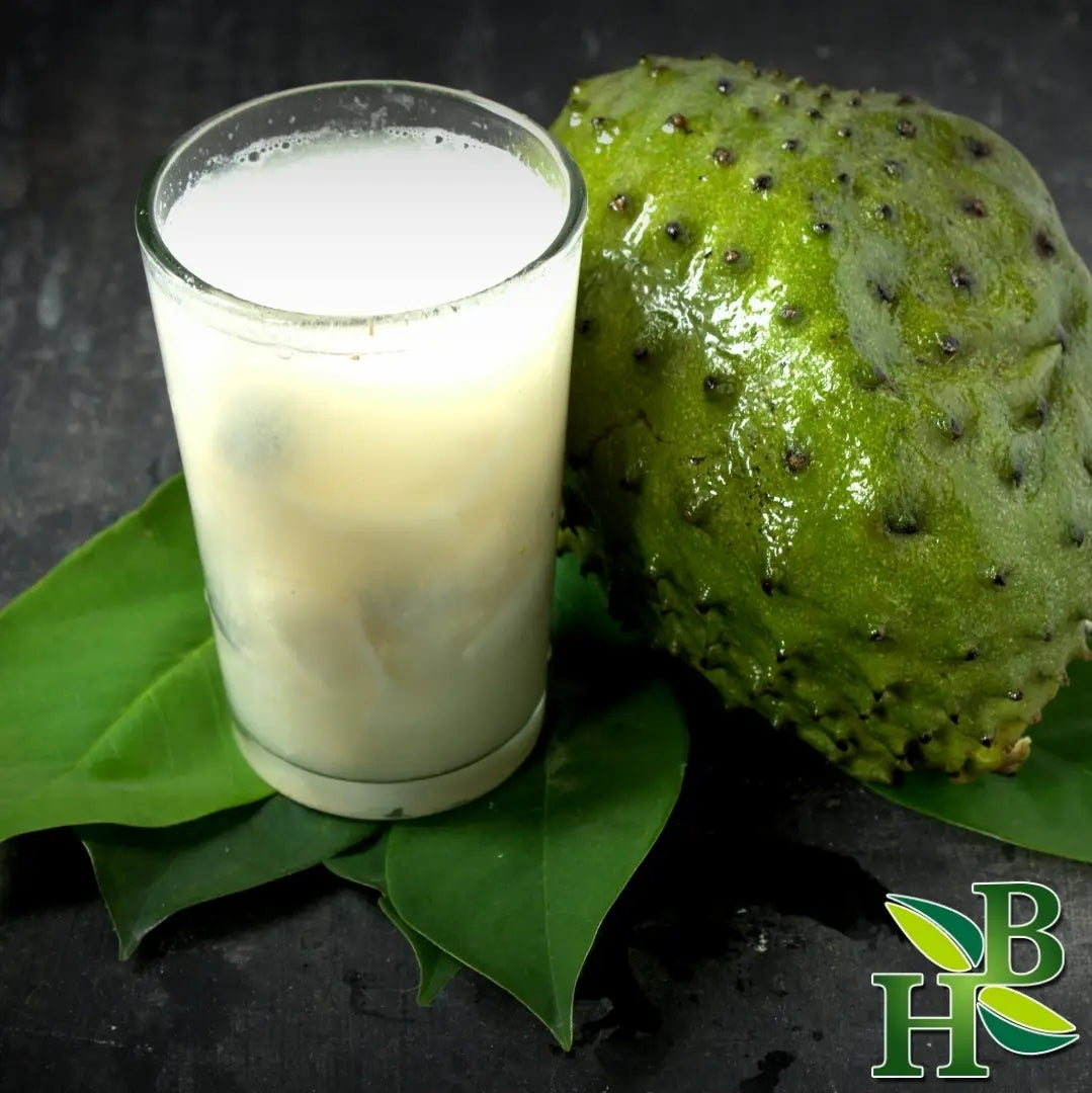RAW* Soursop Leaves 14g (50 Count)