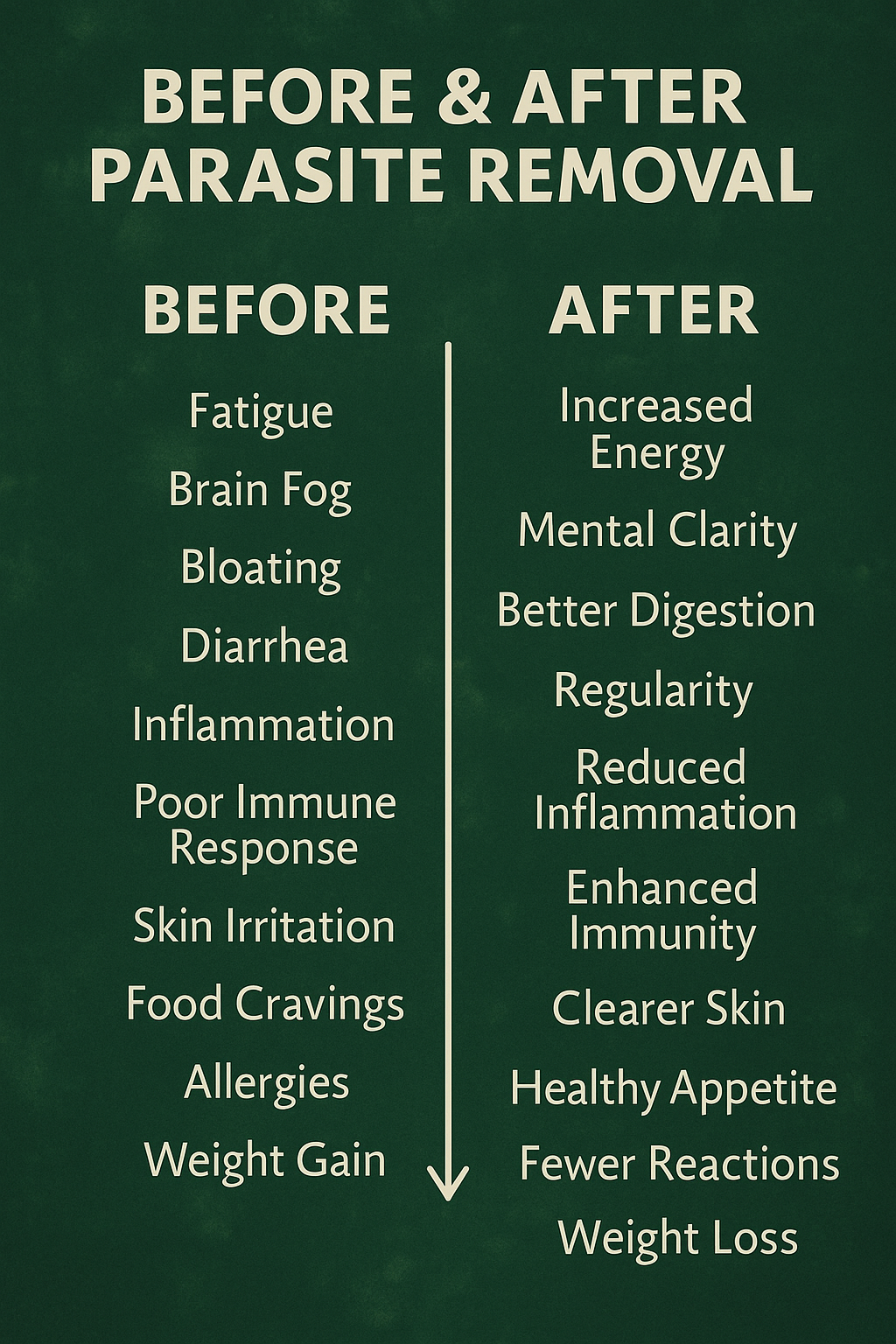 Afrikan Imports - Parasite🪱 Digestive❌ *tea blend*